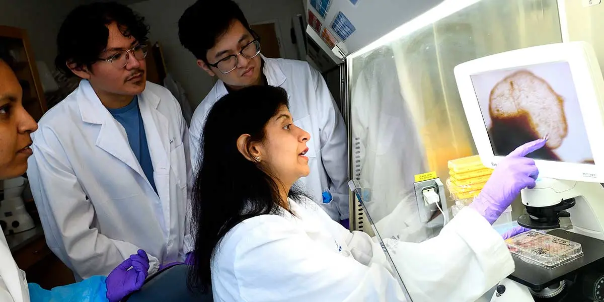 Instructor points at microscope image on monitor while three students in lab coats observe closely in laboratory